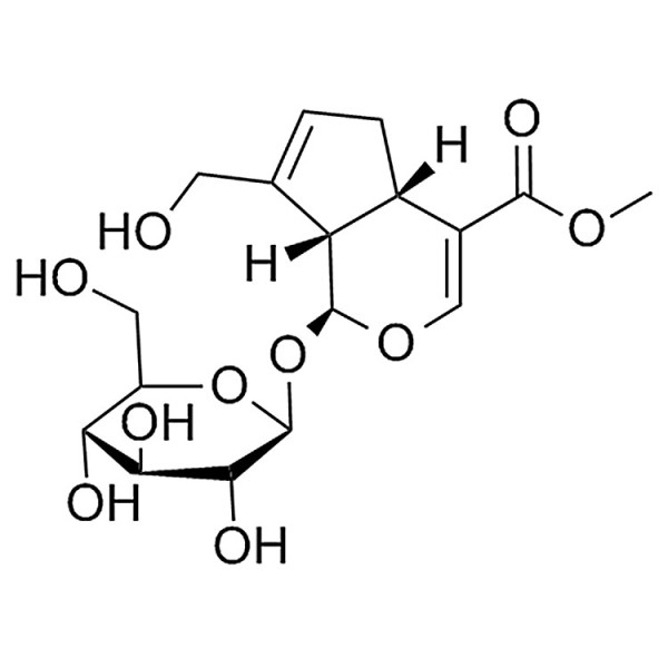 Geniposide 24512-63-8