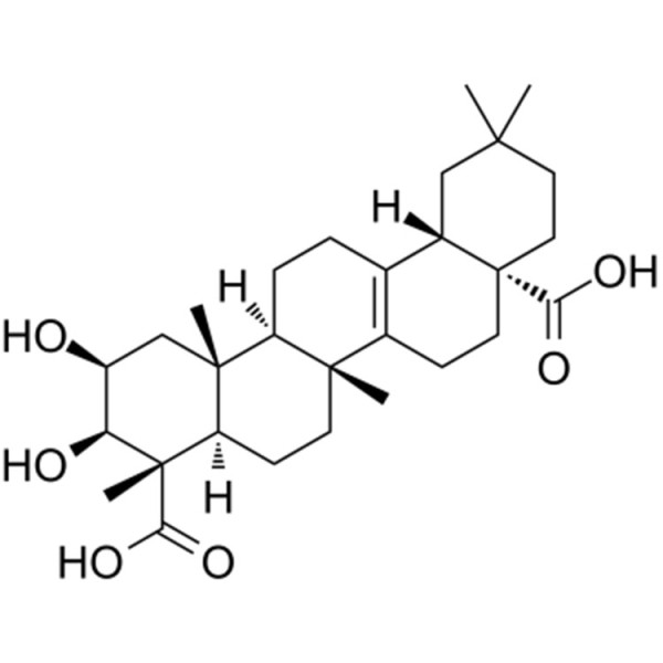Polygalic acid 1260-04-4