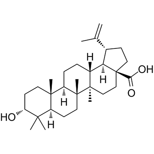 Epibetulinic acid 38736-77-5