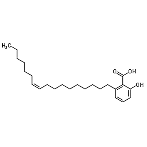 Ginkgolic Acid C17:1  111047-30-4
