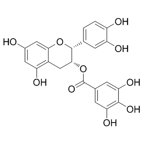 (-)-Epicatechin gallate 1257-08-5