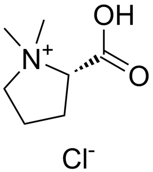 Stachydrine Hydrochloride 4136-37-2
