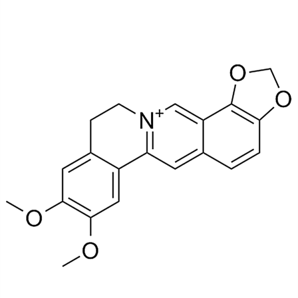 Epiberberine 6873-09-2
