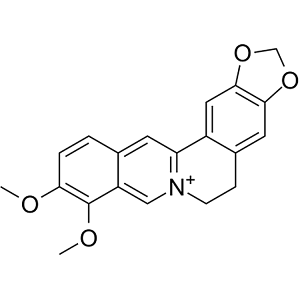 Berberine 2086-83-1