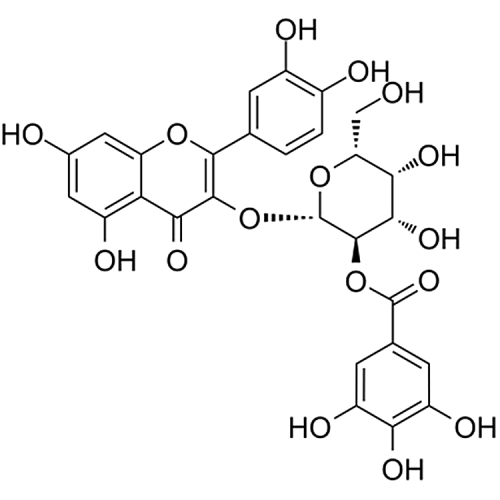 2''-O-Galloylhyperin 53209-27-1
