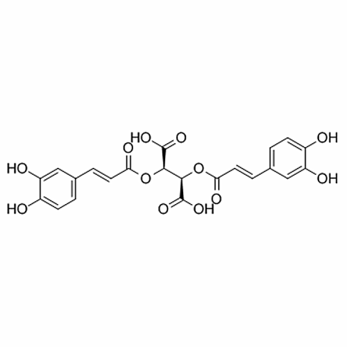 Chicoric acid 6537-80-0/70831-56-0