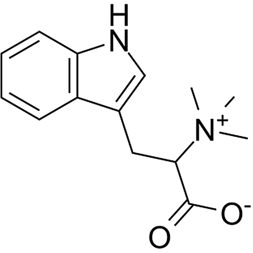 hypaphorine 487-58-1