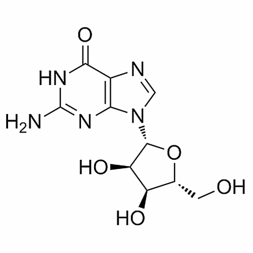 Guanosine 118-00-3