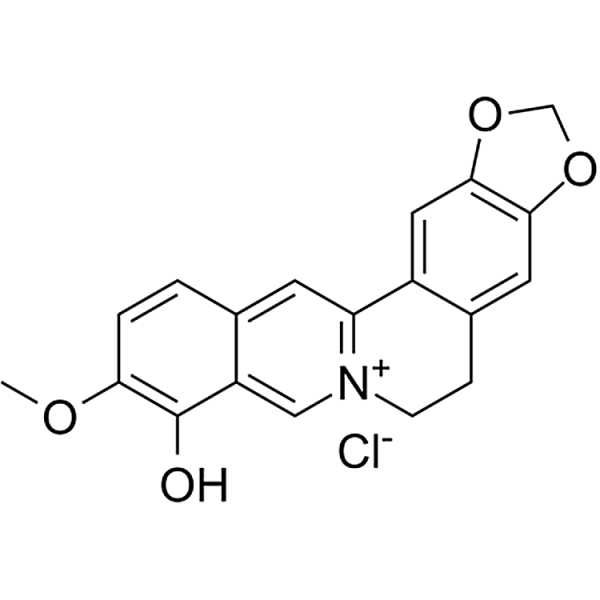 Berberrubine 15401-69-1