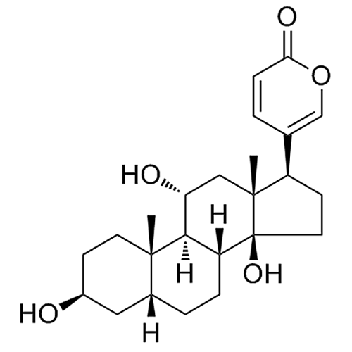 Gamabufalin 465-11-2