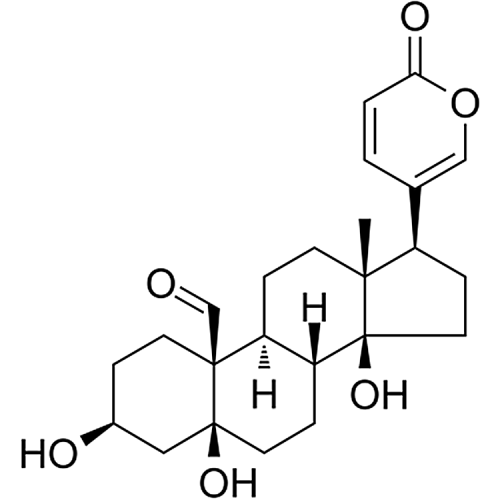Bufotalidin 465-90-7