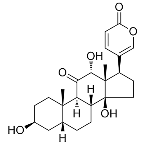 Pseudobufarenogin 17008-69-4