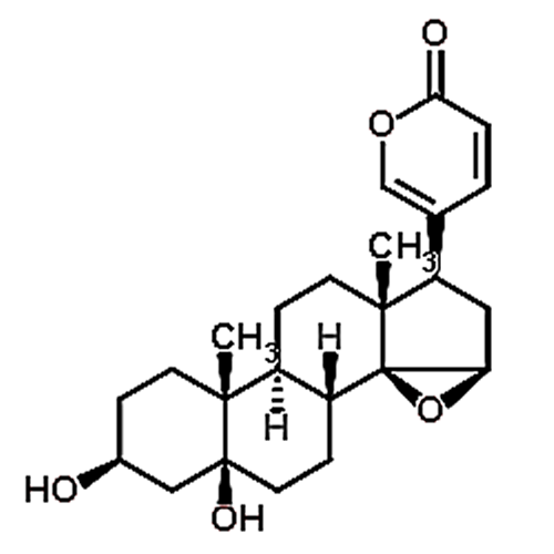 Marinobufagin（Marinobufagenin） 470-42-8