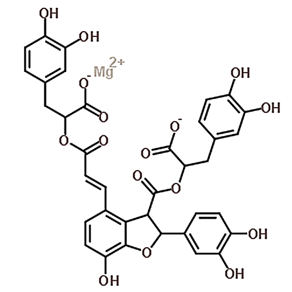 Monomethyl lithospermate B 122021-74-3