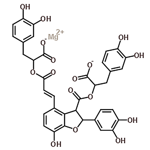 Monomethyl lithospermate B 122021-74-3