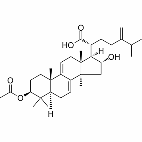 Dehydropachymic acid 77012-31-8