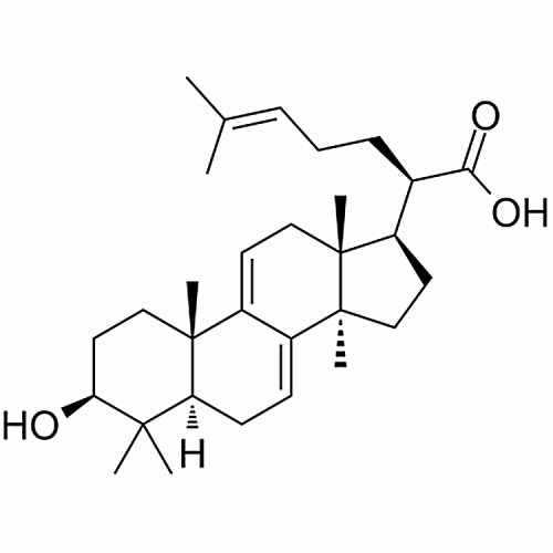 Dehydrotrametenolic acid 29220-16-4