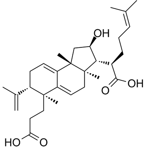 poricoic acid B 137551-39-4