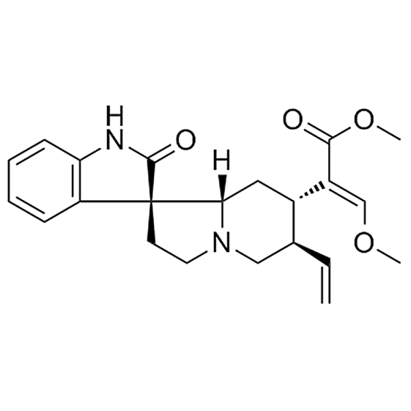 Isocorynoxeine  51014-29-0 