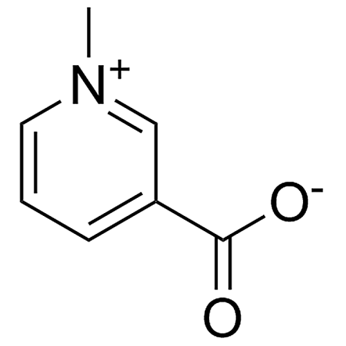 Trigonelline  535-83-1 