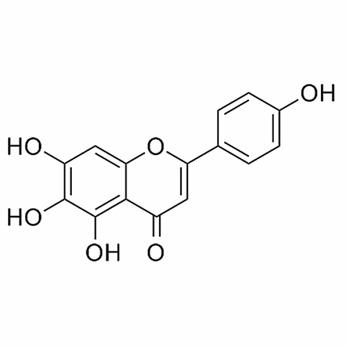 Scutellarein 529-53-3
