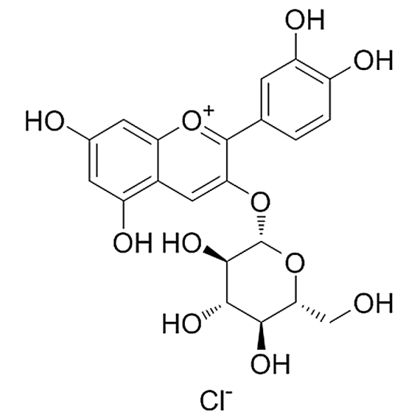 Cyanidin-3-O-glucoside chloride  7084-24-4 