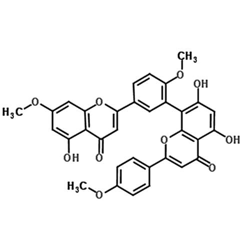 Sciadopitysin  521-34-6 