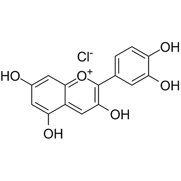 Cyanidin Chloride  528-58-5 
