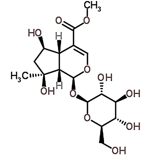 shanzhiside methylester 64421-28-9