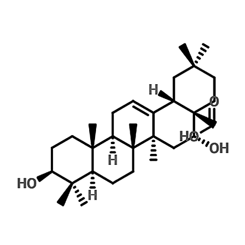 Echinocystic acid  510-30-5 