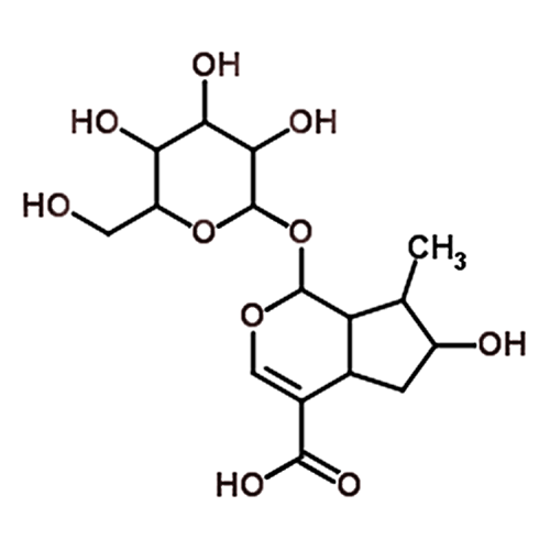 Loganic acid 22255-40-9