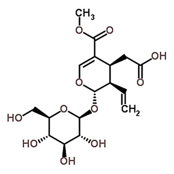 Secoxyloganin 58822-47-2
