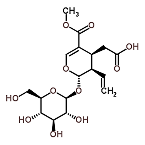 Secoxyloganin 58822-47-2
