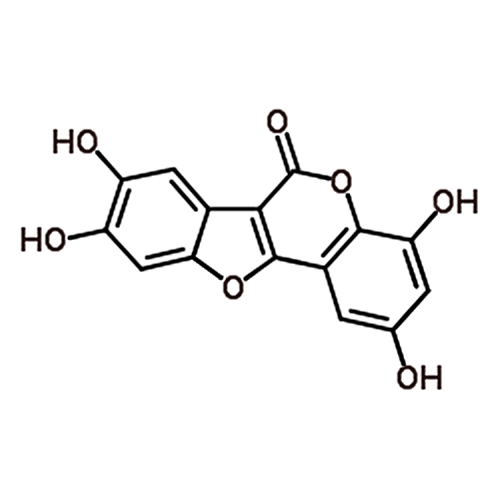 Isodemethylwedelolactone 350681-33-3