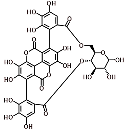 Punicalin 65995-64-4