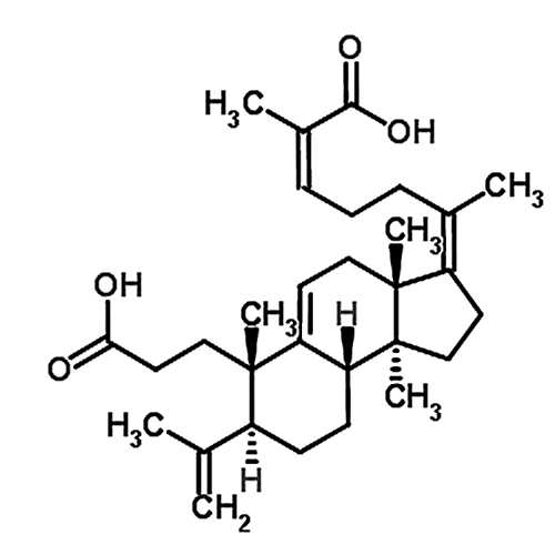Kadsuracoccinic acid A 1016260-22-2