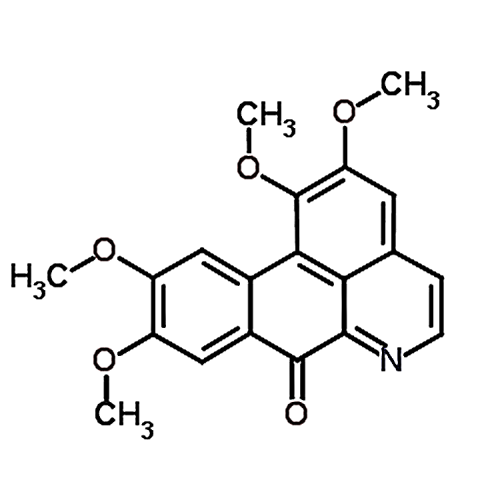Oxoglaucine  5574-24-3
