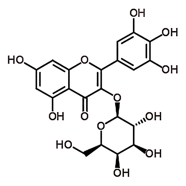 Myricetin 3-O-galactoside 15648-86-9