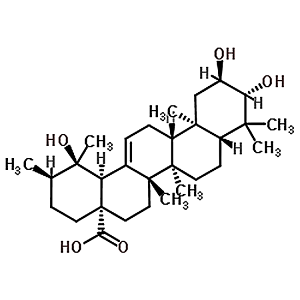 Tormentic acid 13850-16-3