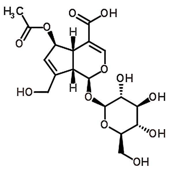6-O-Acetylscandoside 118292-15-2