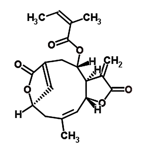 Isoscabertopin 439923-16-7