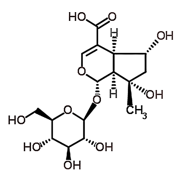 Shanzhiside 29836-27-9