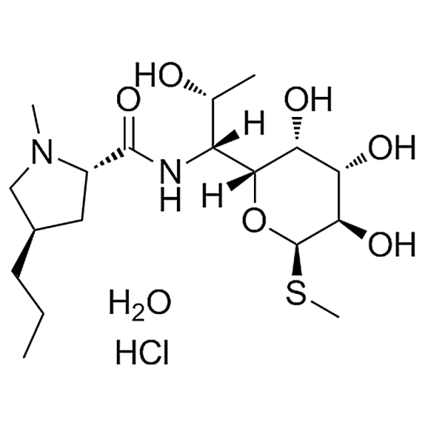 Lincomycin Hydrochloride Monohydrate 7179-49-9