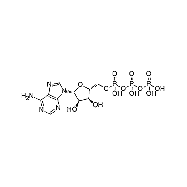 Adenosine triphosphate 56-65-5