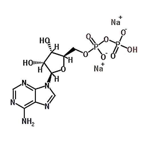 Adenosine 5'-(trihydrogen diphosphate), sodium salt (1:2) 16178-48-6