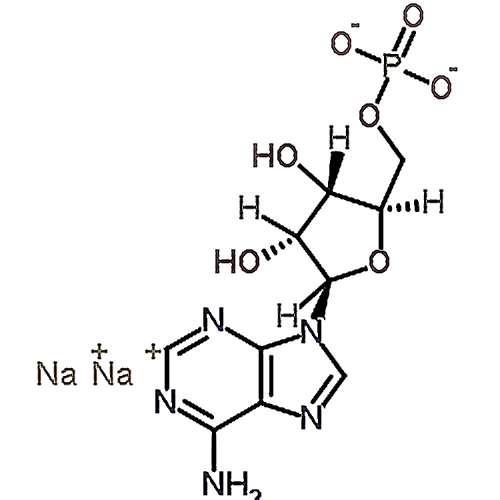 5'-​Adenylic acid, sodium salt, hydrate 149022-20-8