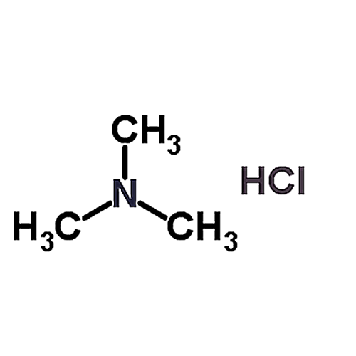 Trimethylamine hydrochloride 593-81-7