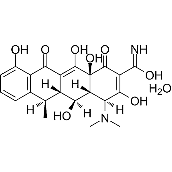 Doxycycline monohydrate 17086-28-1