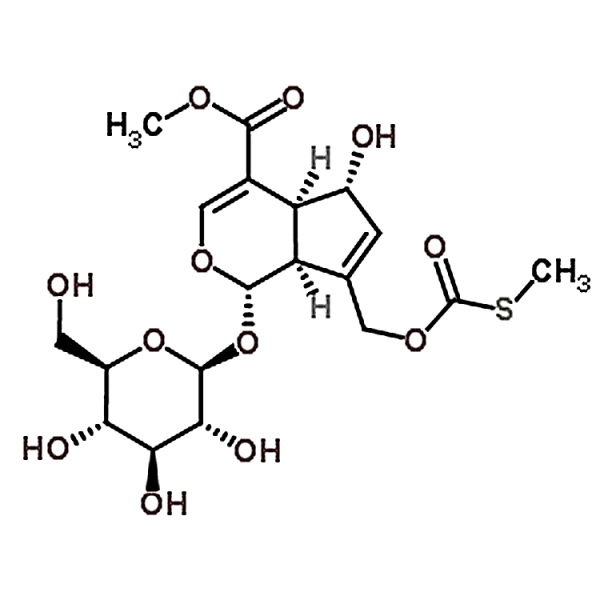 Paederosidic acid methyl ester 122413-01-8