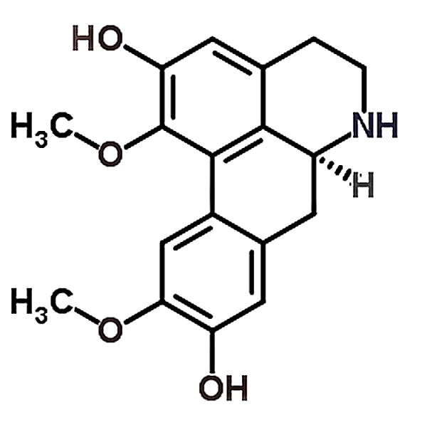 Norboldine 5890-18-6
